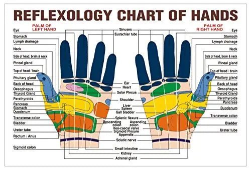 Finger - Massage - Ring - SAFE - space